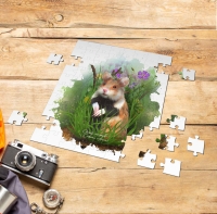 Puzzle - Chomik europejski (Cricetus cricetus)- en. European hamster  (1)
